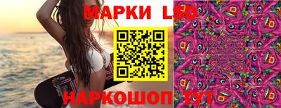 apvp Можга