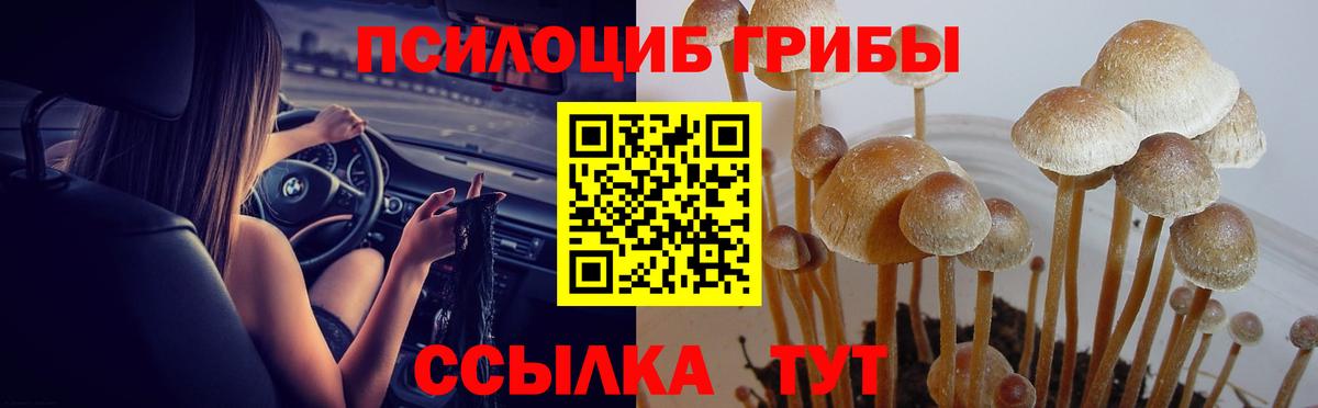 Чернушка  Псилоцибиновые грибы мухоморы  Вход с VPN  Псилоцибиновые грибы Cubensis 