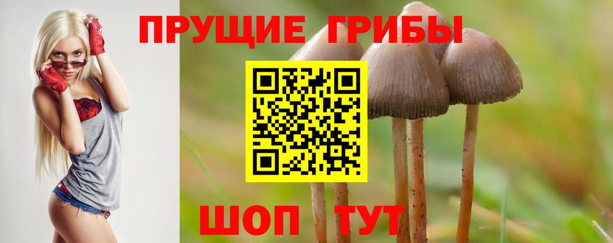 Псилоцибиновые грибы Magic Shrooms Чернушка